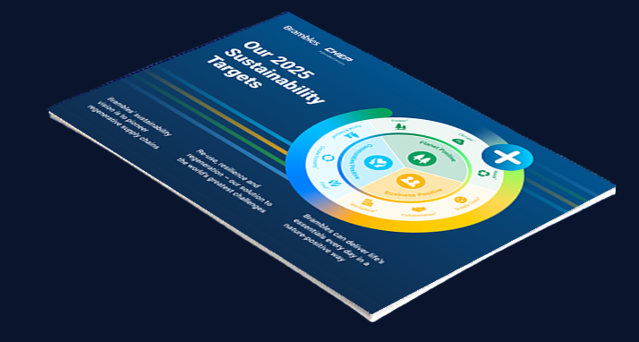 2025 Targets summary