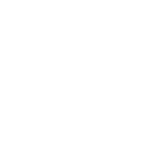 dividends